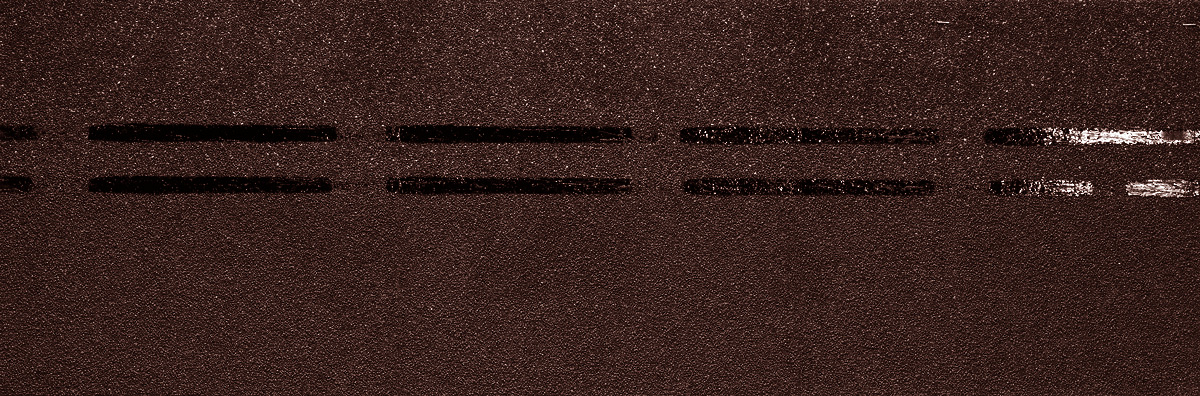 Коньково-карнизная черепица Docke Pie Eurasia кварц