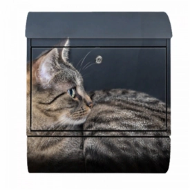 Ящик почтовый для дома с принтом Кот