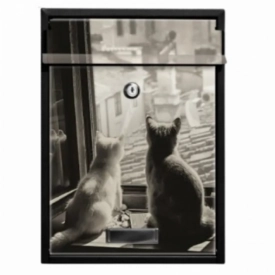 Ящик почтовый для дома с принтом. Cats
