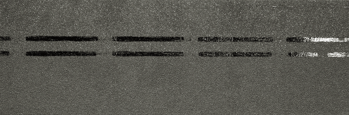 Коньково-карнизная черепица Docke Pie Premium авокадо